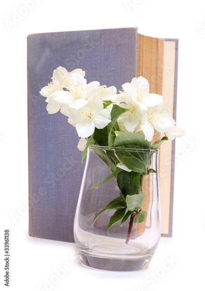 Fototapeta Book and bouquet of jasmine