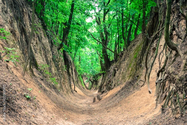 Obraz idac przez wąwóz