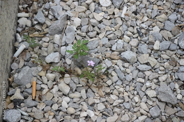 Fototapeta stone wall background