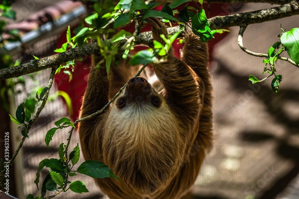 Obraz Eine Reise durch das wundervolle Costa Rica.