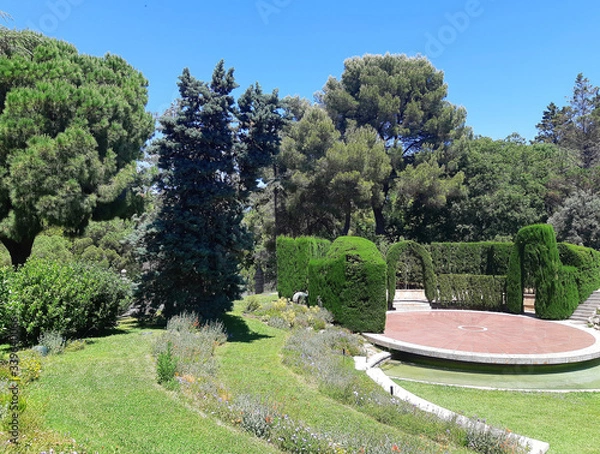 Obraz garden in spring