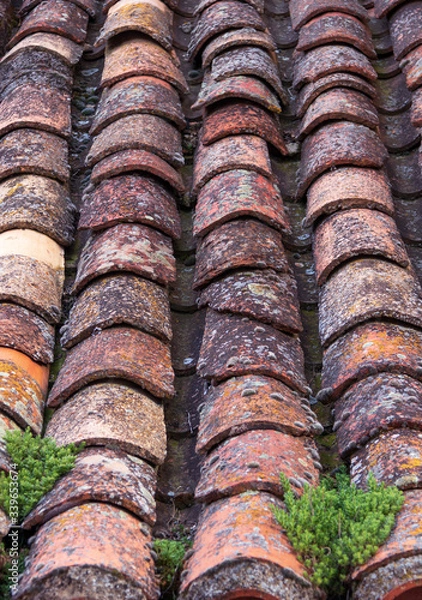 Obraz OLD ROOF