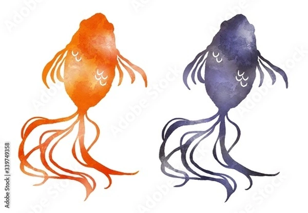 Fototapeta 赤い金魚と黒い金魚　キンギョ　水彩風