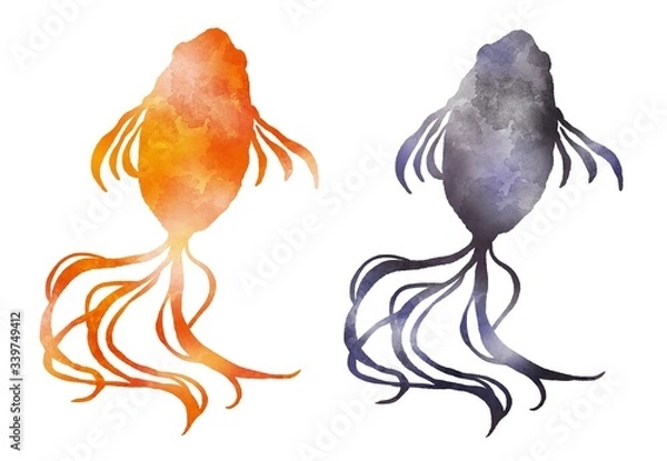 Fototapeta 赤い金魚と黒い金魚　キンギョ　水彩風