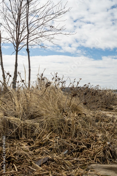 Obraz textured beach