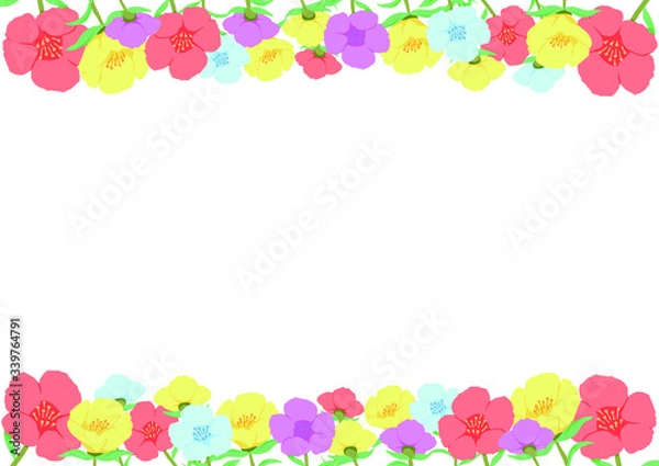 Fototapeta ポーチュラカの花フレーム3