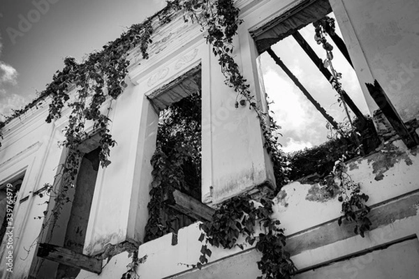 Obraz Overgrown Building