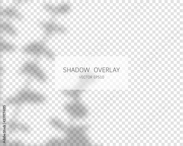 Obraz Shadow overlay effect. Natural shadows isolated on transparent background. Vector illustration. 