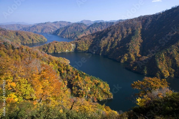 Fototapeta 田子倉湖の紅葉