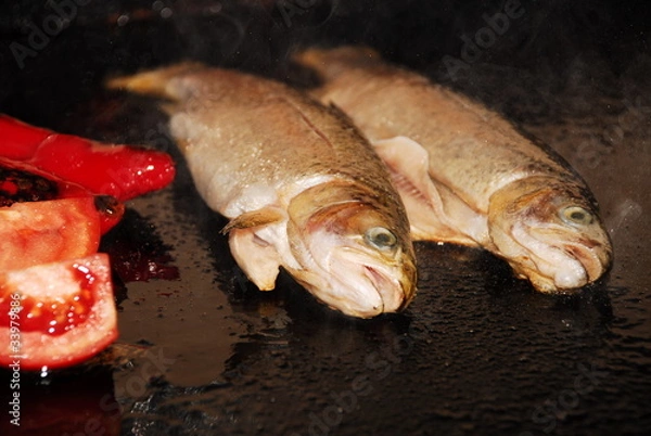 Obraz Trout
