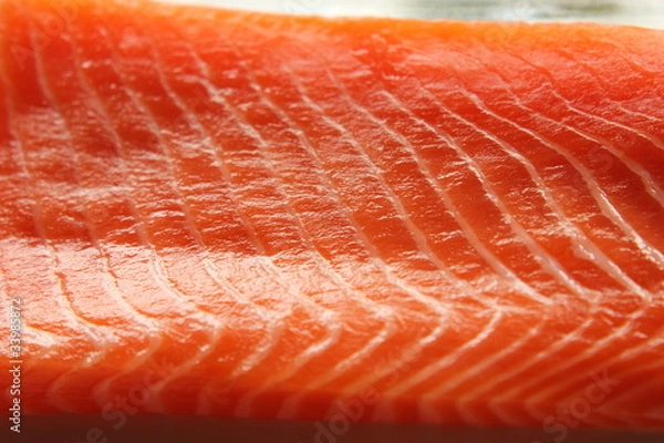 Obraz サーモン