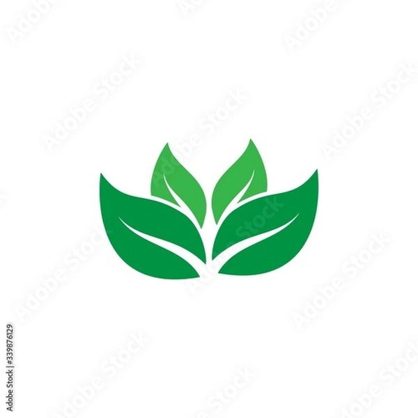 Obraz Green leaf ecology nature element vector template