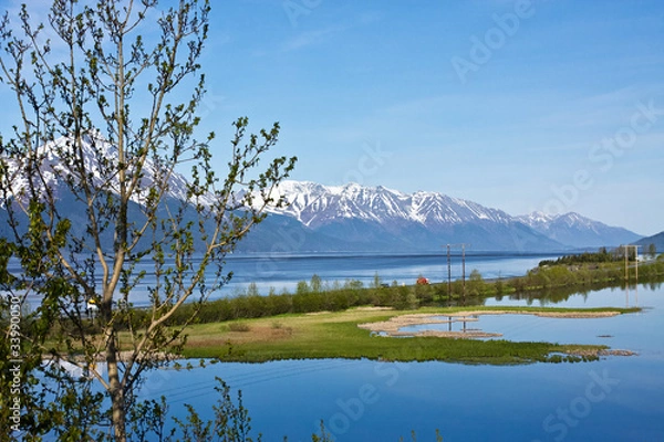 Fototapeta Turnagain Arm and the Seward Highway