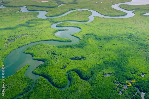 Obraz Aerial view of Amazon rainforest in Brazil, South America. Green forest. Bird's-eye view.