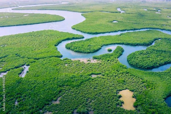 Obraz Aerial view of Amazon rainforest in Brazil, South America. Green forest. Bird's-eye view.
