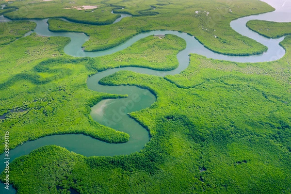 Obraz Aerial view of Amazon rainforest in Brazil, South America. Green forest. Bird's-eye view.