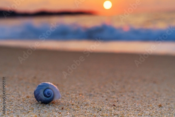 Obraz Strand mit Muschel
