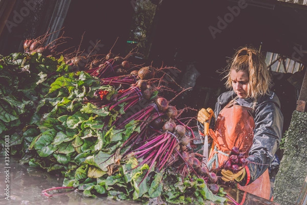 Obraz Female Farmer washing beetroot