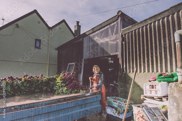 Obraz Female Farmer washing beetroot