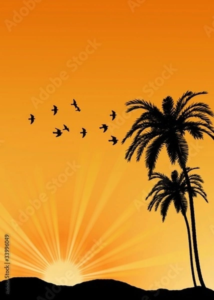 Obraz Tropical sunrise