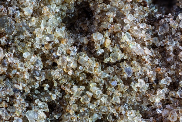 Fototapeta Closeup of an E horizon of a Podzol or Spodosol