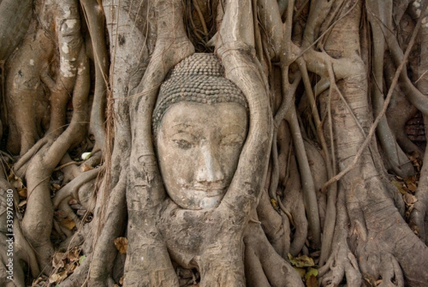 Obraz アユタヤの木の根の仏像の首：タイの旅先の風景