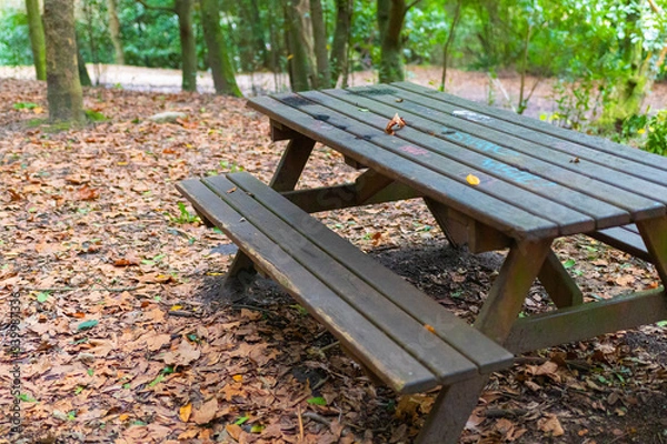 Obraz Mesa en el monte