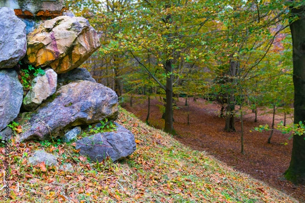 Obraz Rocas en el bosque