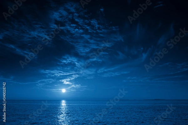 Obraz This photo illustration of a deep blue moonlit ocean and sky at night  would make a great travel background for any travel or vacation purpose.