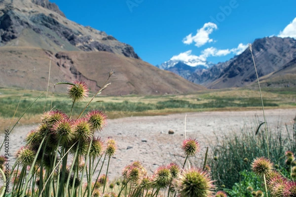 Obraz Aconcagua view from the valley below