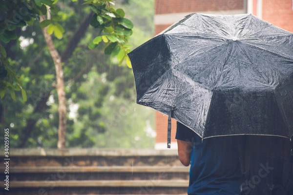 Fototapeta A boy under a black umbrella in the heavy rainy day with face in backwards.