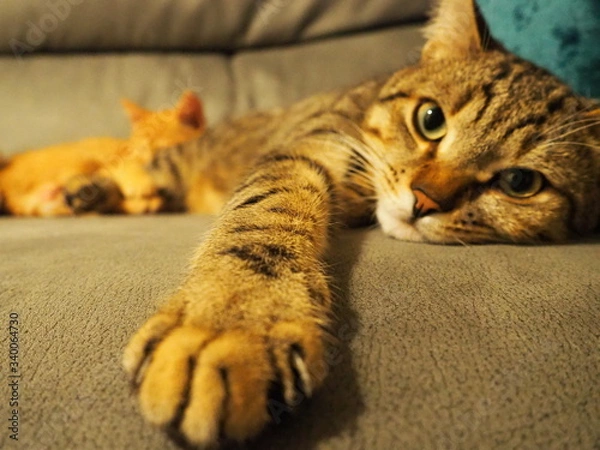 Obraz Dante e Merida, profondità