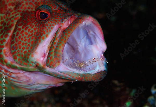 Obraz Cleaning station