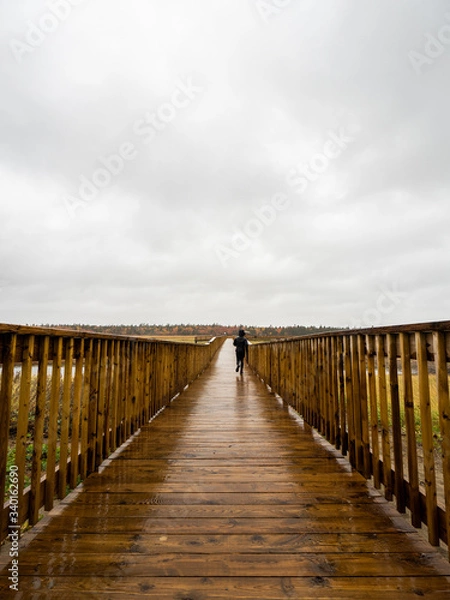 Fototapeta Boardwalk2