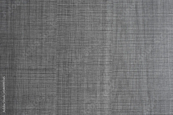 Obraz Gray fine mesh texture close up a