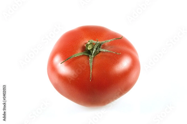 Obraz tomato