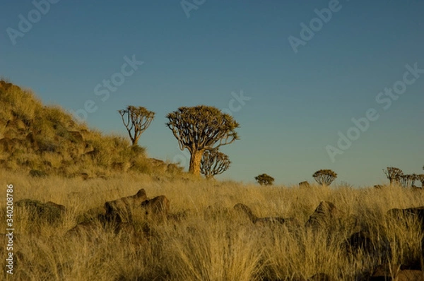 Obraz Giants playground travelling Namibia