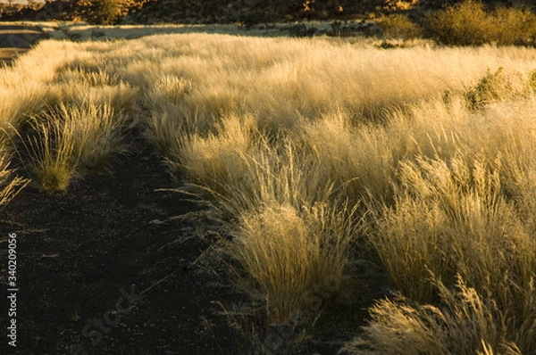 Obraz Giants playground travelling Namibia