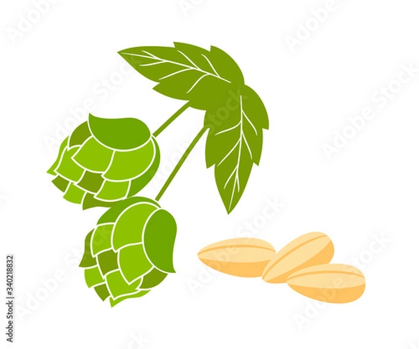 Obraz Hop cones and malt flat vector illustration