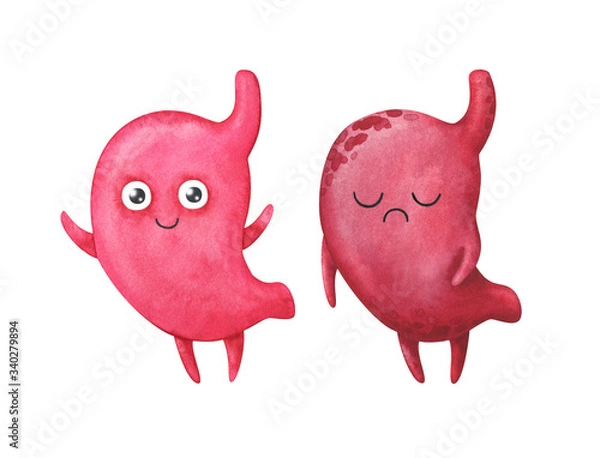 Fototapeta Stomach. Healthy and diseased organs. Anatomical characters in children's style. Set of watercolor illustrations isolated on a white background.Stock image. The digestive system of the human body