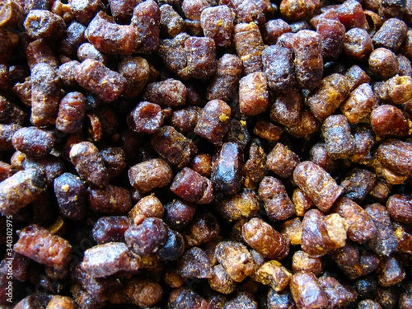 Obraz large amount of beebread , background