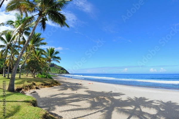 Obraz Plage de Grande Anse, La Réunion.