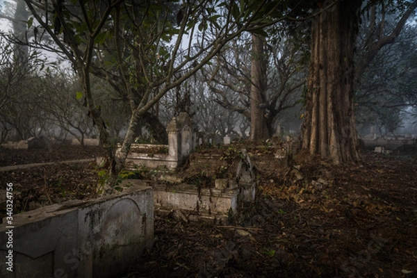 Obraz Cementerio asiatico en un bosque