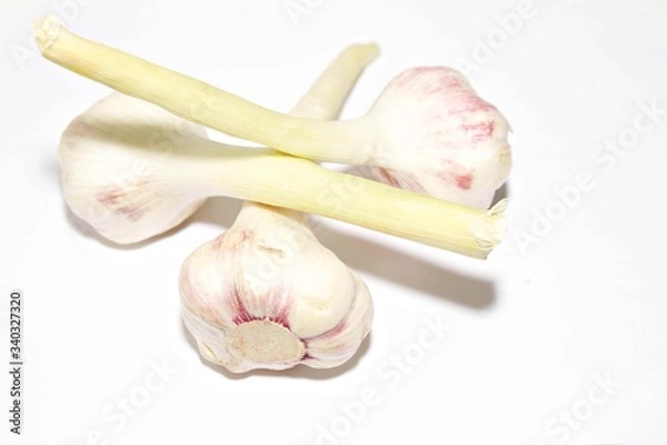 Fototapeta Garlic