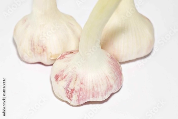Fototapeta Garlic