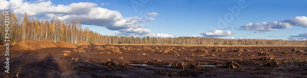 Obraz Panorama of peat field.