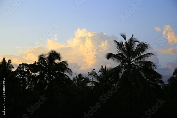 Fototapeta landscape in the evening