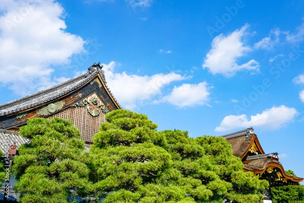 Fototapeta 二条城 二の丸御殿