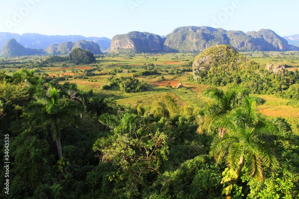 Obraz Vallée de Vinales à Cuba
