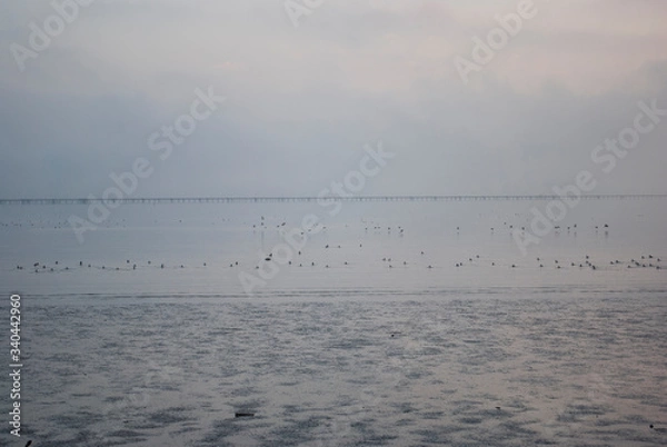 Obraz Bridge Bay Fog